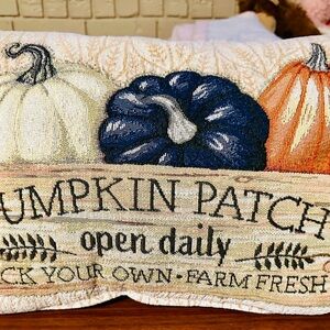 2 fall pillows 18.00